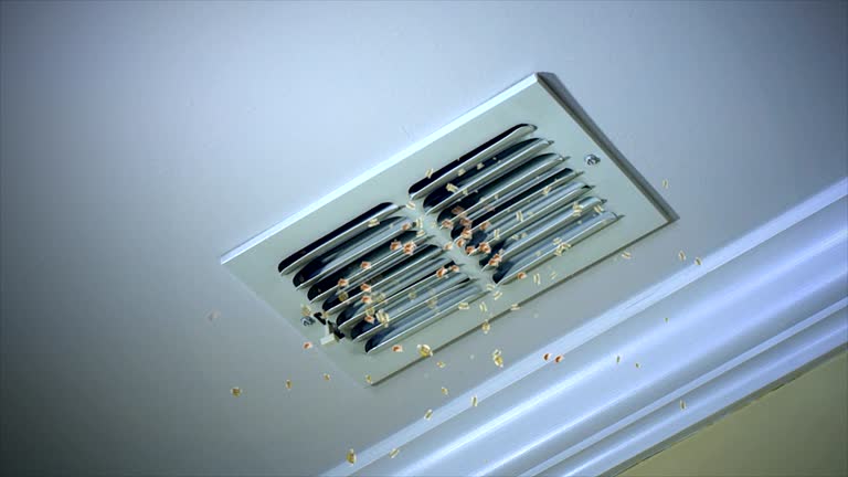 Best Air Duct Cleaning Near Me  in Mount Vernon, KY